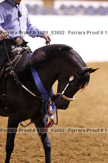 Proof Number 11r9_03092