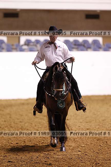 Proof Number 11r9_03095