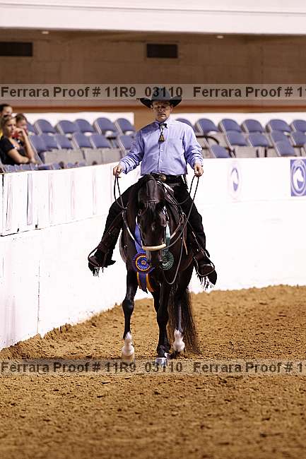 Proof Number 11r9_03110