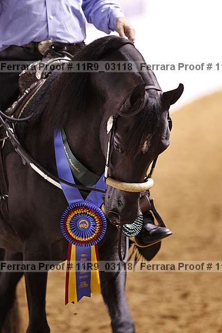 Proof Number 11r9_03118