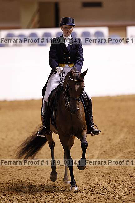 Proof Number 11r9_03141