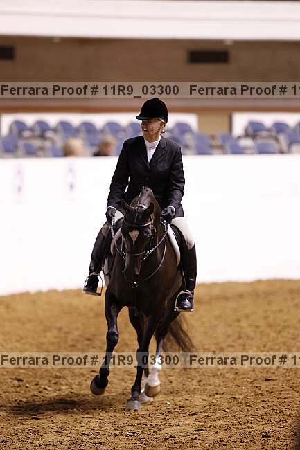 Proof Number 11r9_03300