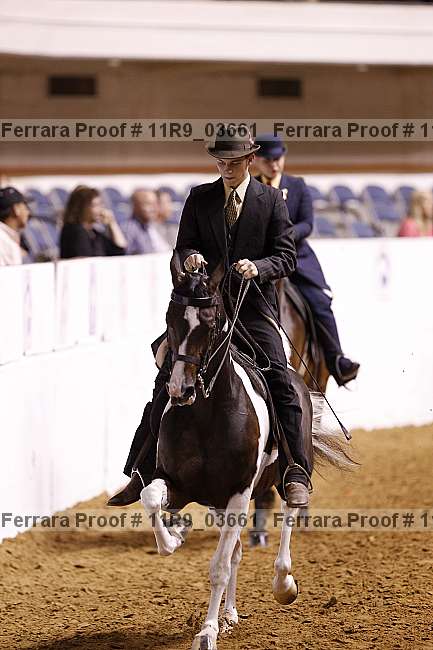 Proof Number 11r9_03661