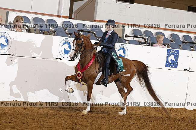 Proof Number 11r9_03826