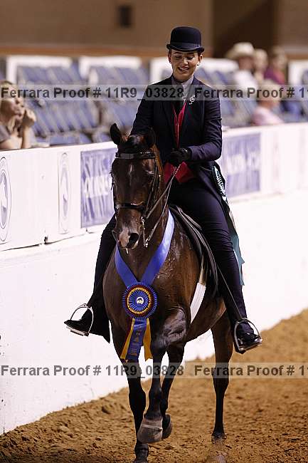 Proof Number 11r9_03828