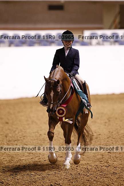 Proof Number 11r9_03965