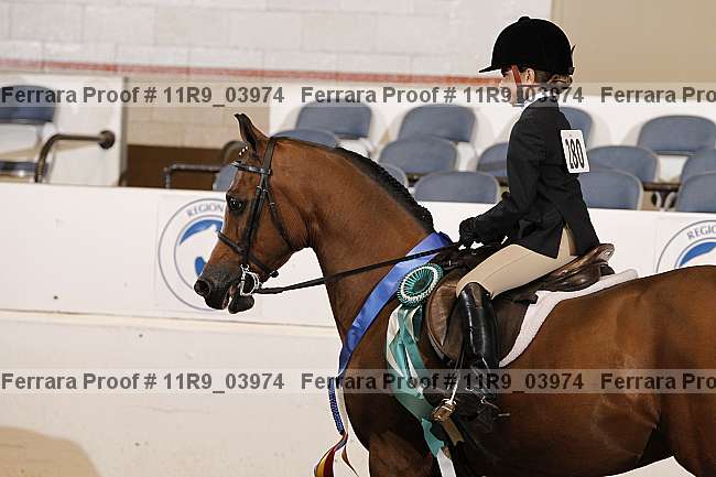 Proof Number 11r9_03974