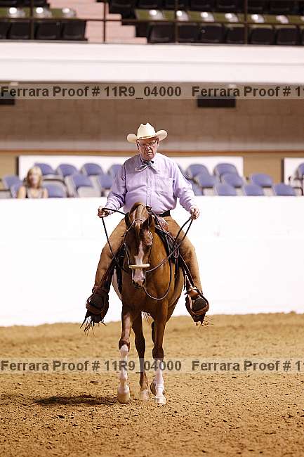 Proof Number 11r9_04000