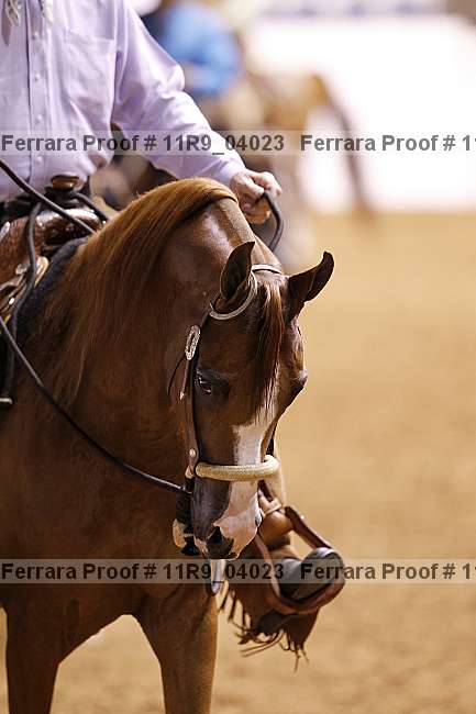 Proof Number 11r9_04023