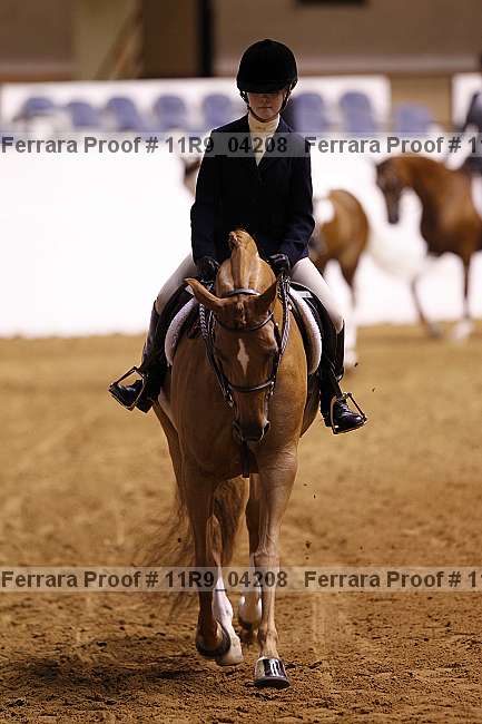 Proof Number 11r9_04208