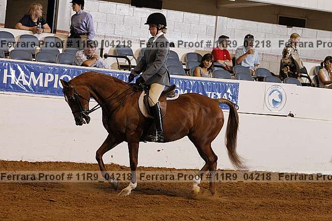 Proof Number 11r9_04218