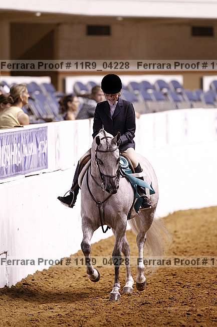 Proof Number 11r9_04228