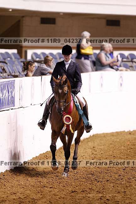 Proof Number 11r9_04237