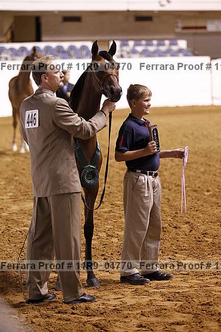 Proof Number 11r9_04770