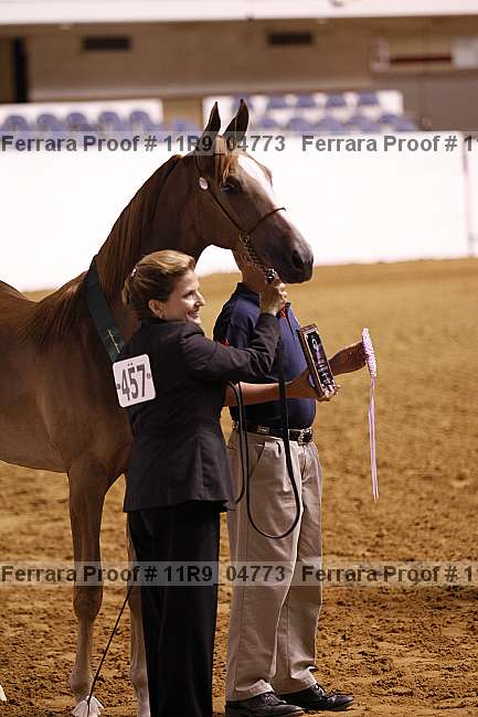 Proof Number 11r9_04773