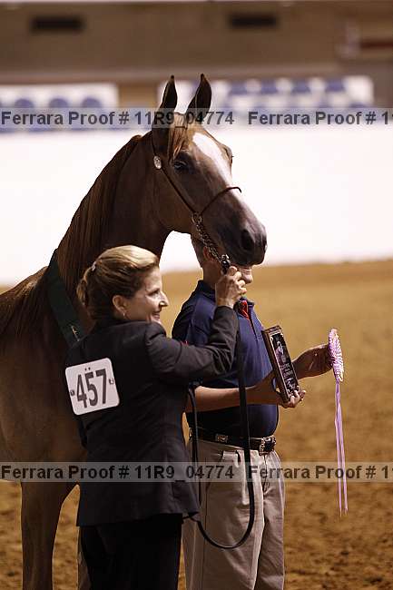 Proof Number 11r9_04774
