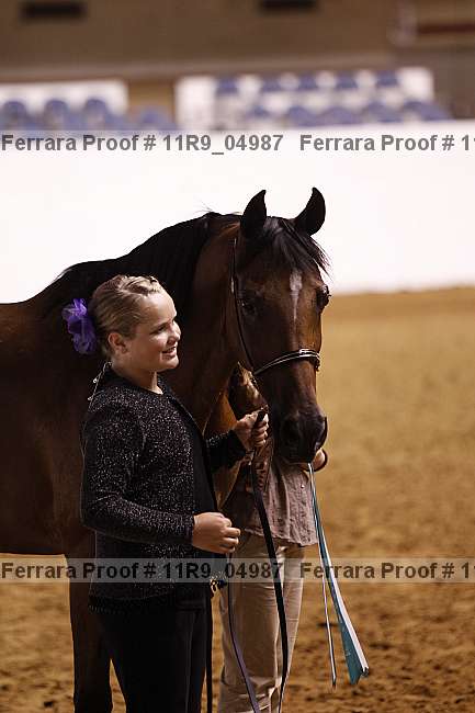Proof Number 11r9_04987