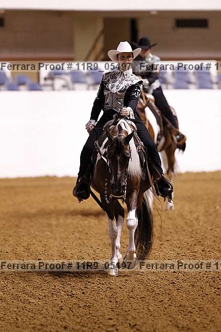 Proof Number 11r9_05497