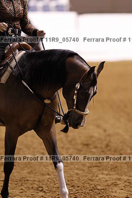 Proof Number 11r9_05740