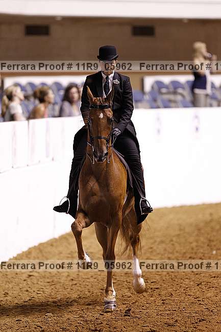 Proof Number 11r9_05962