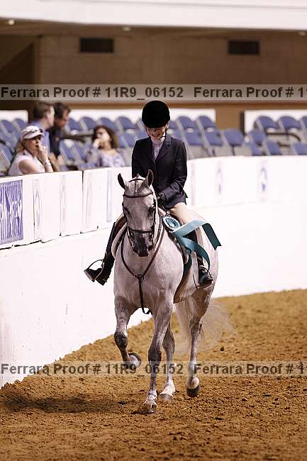 Proof Number 11r9_06152