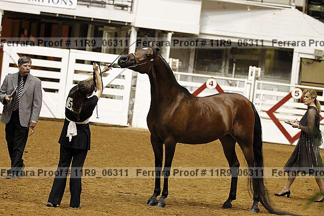 Proof Number 11r9_06311