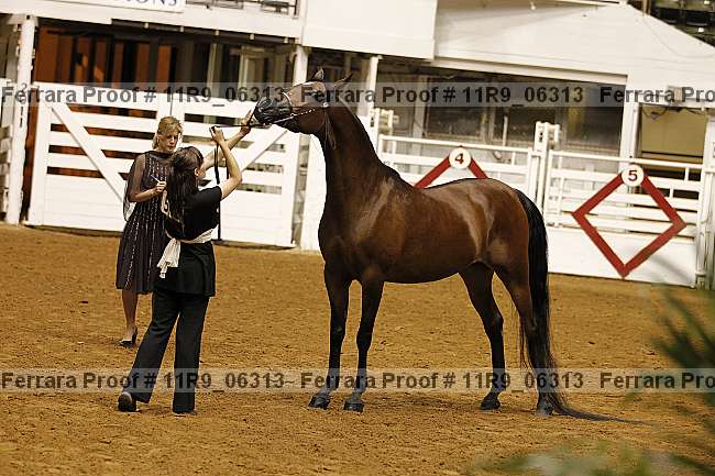 Proof Number 11r9_06313