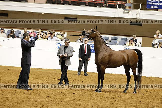 Proof Number 11r9_06355