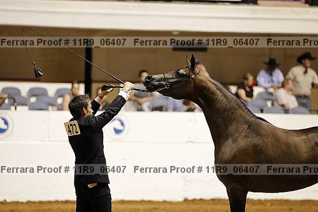 Proof Number 11r9_06407