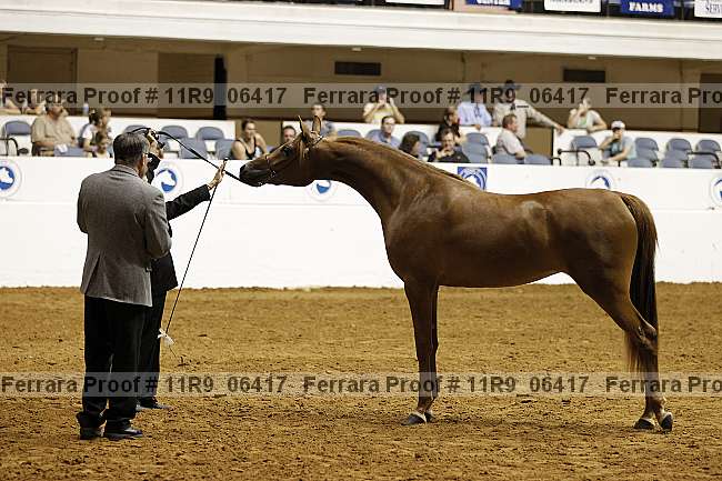 Proof Number 11r9_06417