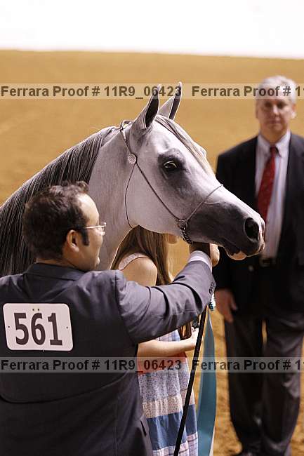 Proof Number 11r9_06423
