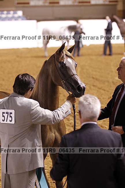 Proof Number 11r9_06435