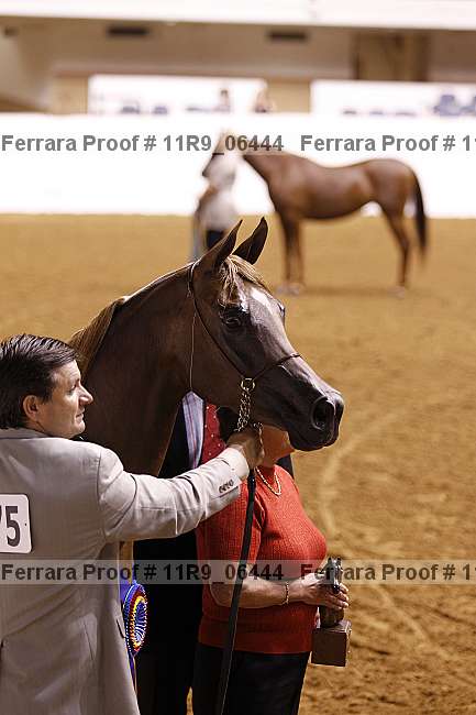 Proof Number 11r9_06444