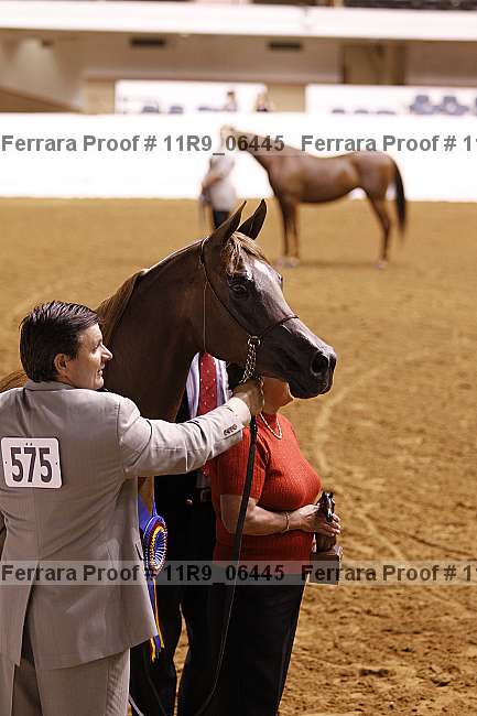 Proof Number 11r9_06445