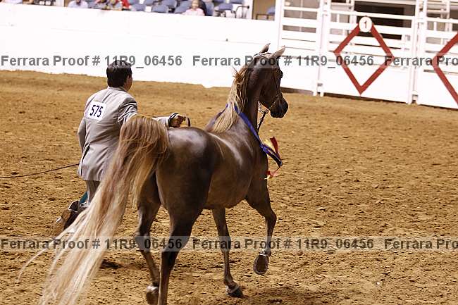 Proof Number 11r9_06456