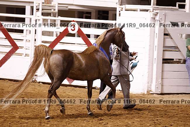 Proof Number 11r9_06462