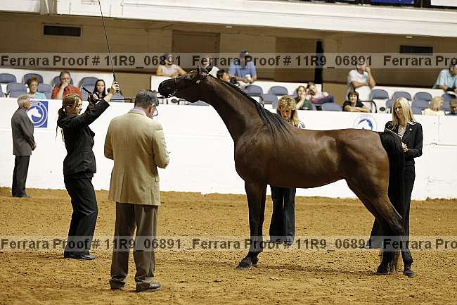 Proof Number 11r9_06891