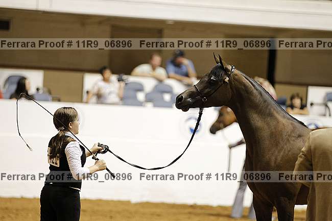 Proof Number 11r9_06896