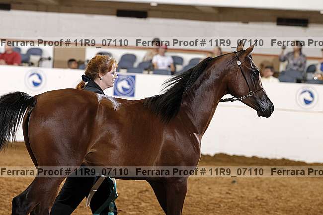 Proof Number 11r9_07110
