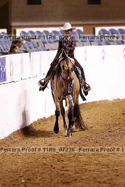 Proof Number 11r9_07236