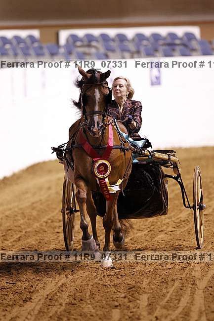 Proof Number 11r9_07331