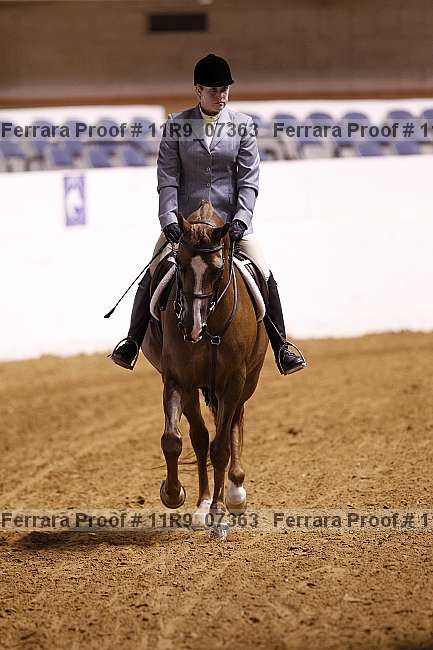 Proof Number 11r9_07363