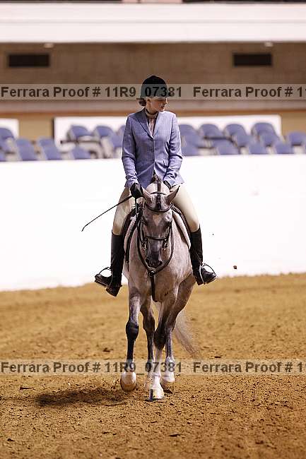 Proof Number 11r9_07381