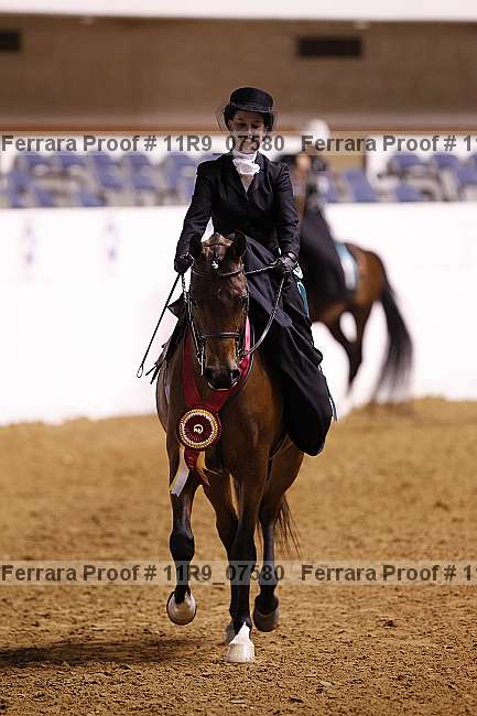 Proof Number 11r9_07580
