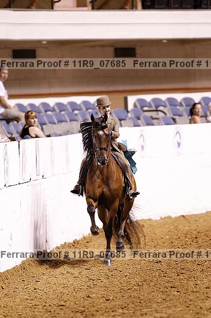 Proof Number 11r9_07685