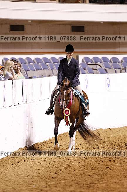 Proof Number 11r9_07858