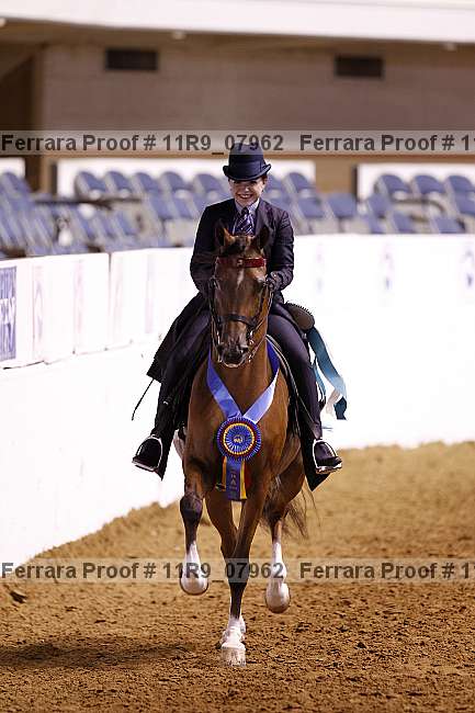 Proof Number 11r9_07962