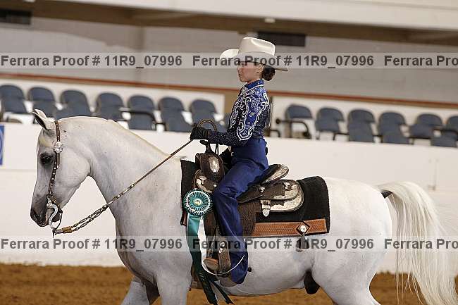 Proof Number 11r9_07996