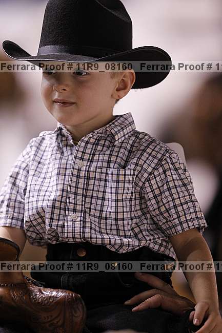 Proof Number 11r9_08160