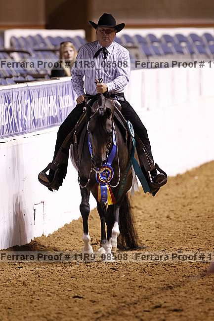 Proof Number 11r9_08508
